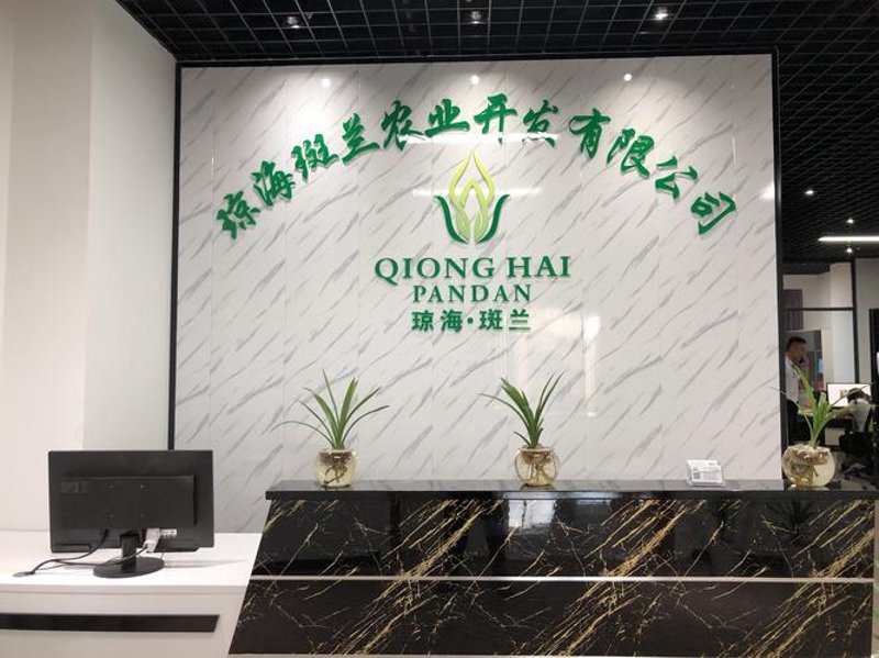 手机网站建设